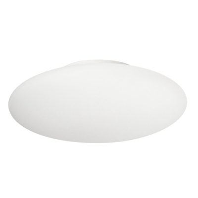7951-bianco