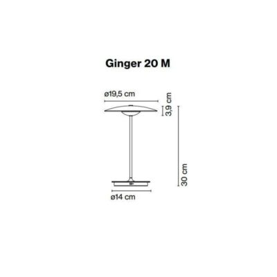 ginger-20-m-marset
