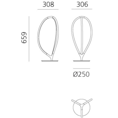 Struttura