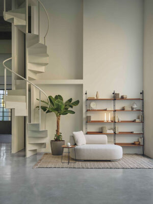 adAM WOOD LEGNI SCURO