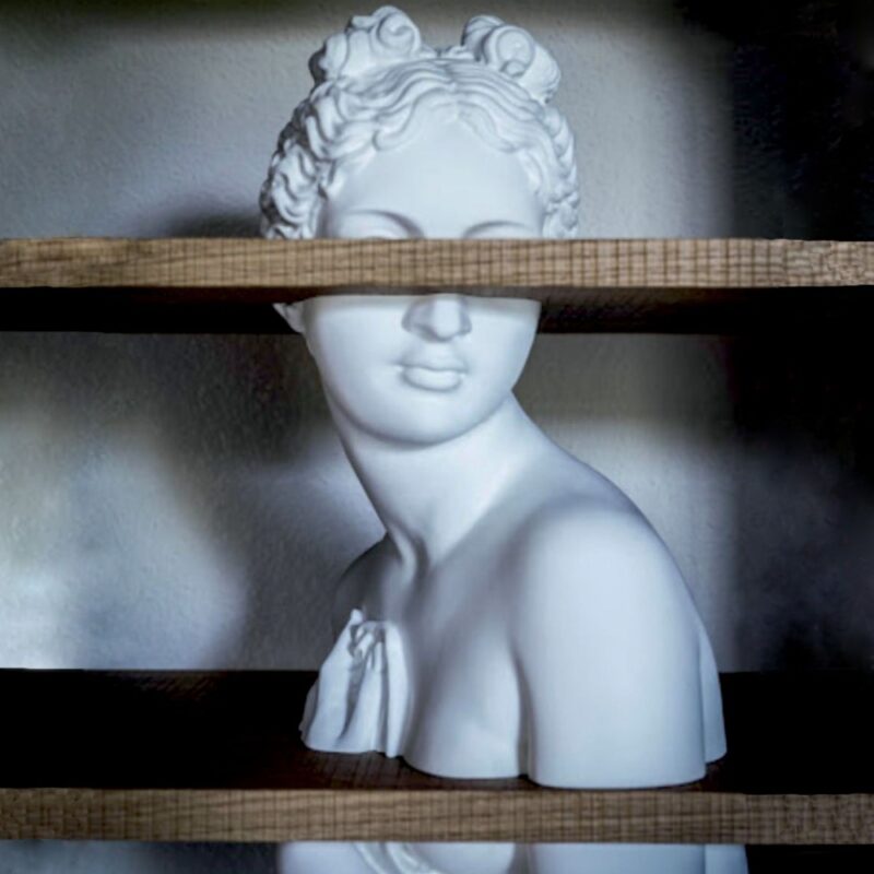 VENUS libreria Driade